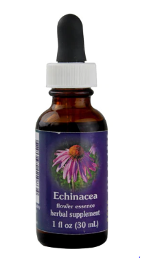 Flower Essence Echinacea Herbal Supplement 1 fl oz
