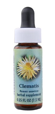 Flower Essence Clematis Herbal Supplement 0.25 fl oz