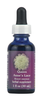 Flower Essence FES Quintessentials Organic Dropper 1 fl oz 12 per Case