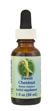 Flower Essence Sweet Chestnut Supplement Dropper 1 fl oz