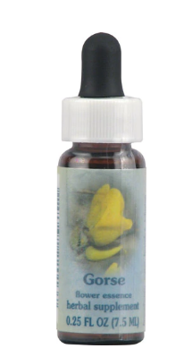 Flower Essence Healing Herb Supplement Dropper 0.25 fl oz