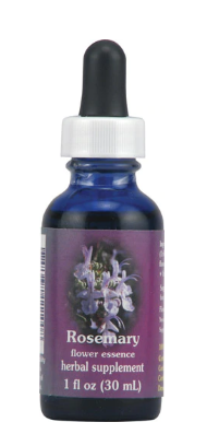 Flower Essence FES Quintessentials Rosemary Supplement Dropper 1 fl oz