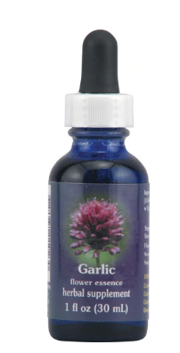 Flower Essence FES Quintessentials Herbal Supplement Drops 1 fl oz