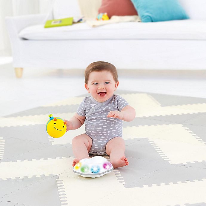 Skip Hop Explore and More Follow Bee Crawl Toy