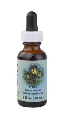 Flower Essence Pine Herbal Supplement  1 fl oz