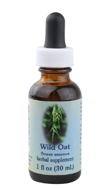 Flower Essence Wild Oat Herbal Supplement Dropper  1 fl oz1oz