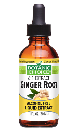 Herbal Supplement Botanic Choice Ginger Root Liquid 1fl oz