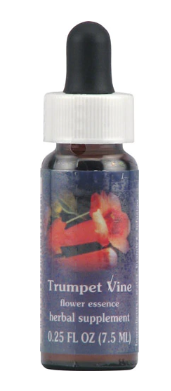 Flower Essence Quintessentials Trumpet Vine Supplement Dropper  0.25 fl oz