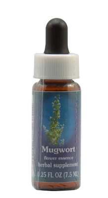 Flower Essence Mugwort Supplement Dropper 0.25 fl oz
