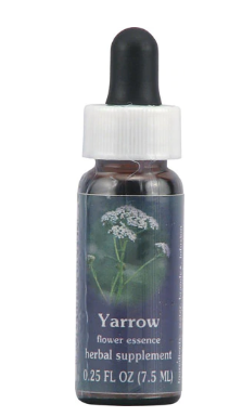 Flower Essence FES Quintessentials Supplement Dropper  0.25 fl oz